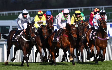 Cheltenham Festival Friday racecard, schedule, runners & day 4 tips.